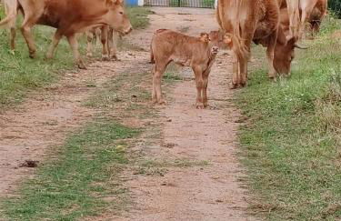 Herdade Monte Novo Do Pocinho - Foto 12