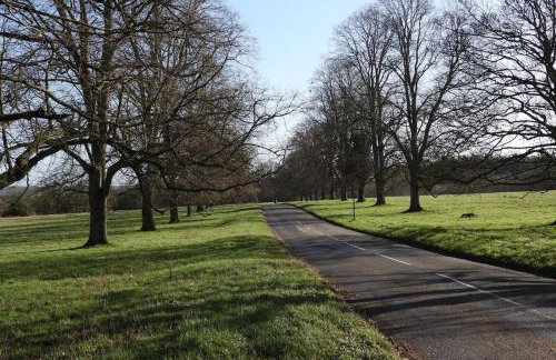 Gorgeous 2 bedroom Kintbury cottage - Foto 42