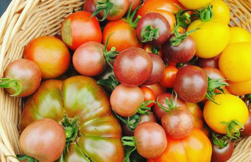 Le gîte des Jardins d'Hayden - Foto 10