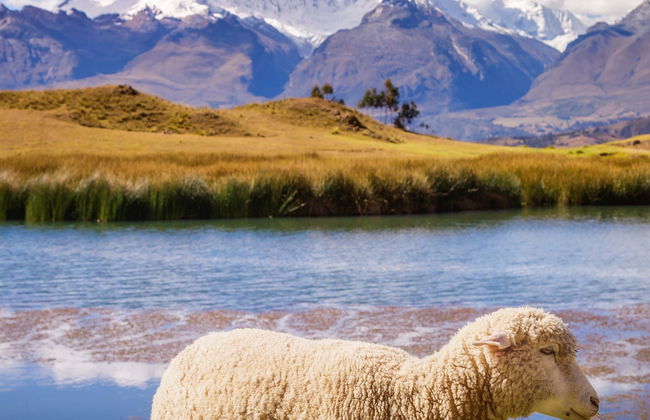 Private Lake Wilcacocha Hike - Foto 3