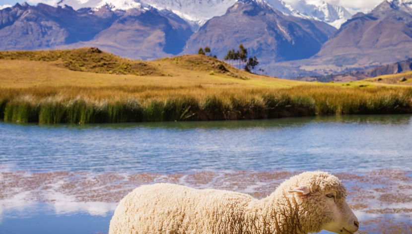 Private Lake Wilcacocha Hike - Foto 3