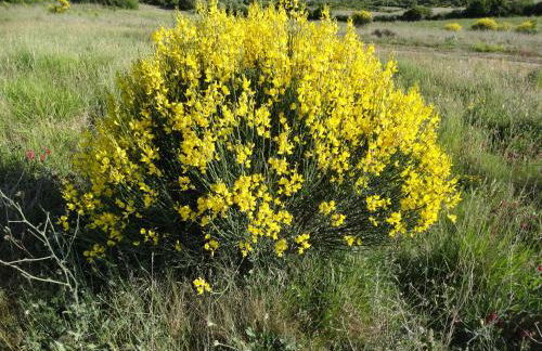 Agriturismo La Poderina - Foto 80