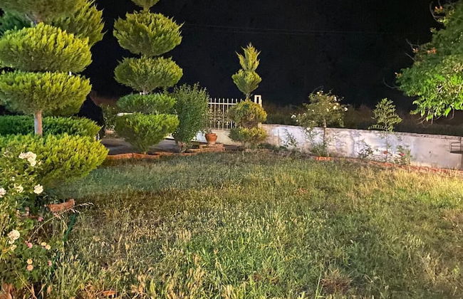 MERMAID PANSIYON - Photo 42