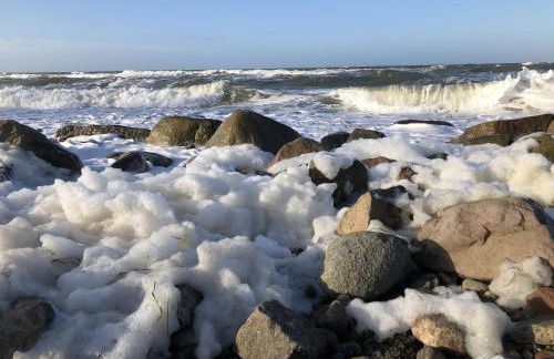 Ferienwohnung Vogelsang - Foto 27