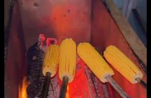 Chácara Favo de Mel - Foto 22