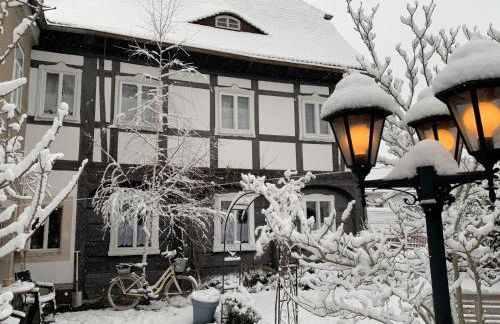 Ferienwohnung und Pension Goldberg - Foto 3