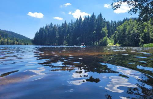 Haus Feldbergblick, Apartment "Valentine", Lenzkirch, Hochschwarzwaldkarte - Foto 25