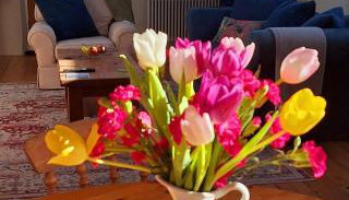 The Chapel, Dummer - Foto 2