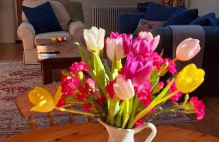 The Chapel, Dummer - Foto 2