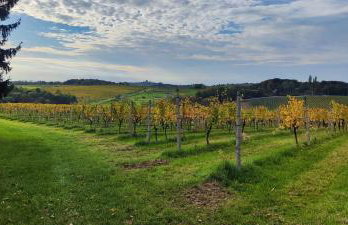 Tweet Apartments with Sauna and optional Breakfast Close To Terme Sveti Martin - Foto 32