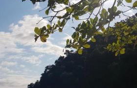 Espaço jasmim manga - Foto 65