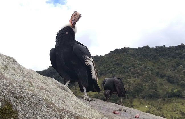 Private Tours from Popayán - Photo 1