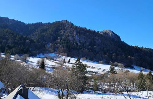 Appartement F2 au pied des pistes, 6 couchages, Mont-Dore - FR-1-415-175 - Foto 12