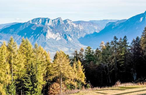 Chalet Baita al Compo by Interhome - Photo 9