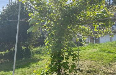 Casa de Nuna- calefacción, naturaleza, Netflix - Foto 26