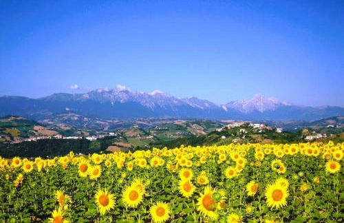 Characteristic restored farmhouse with 360 degree views - Photo 7