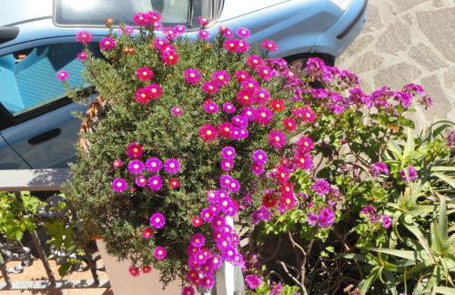 Chiaia Apartments by Caseaponza it - Foto 38