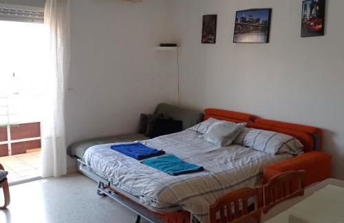 Disfruta Granada, Parking y Mascotas - Foto 11