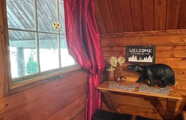 Big Bear Log cabin - Photo 14