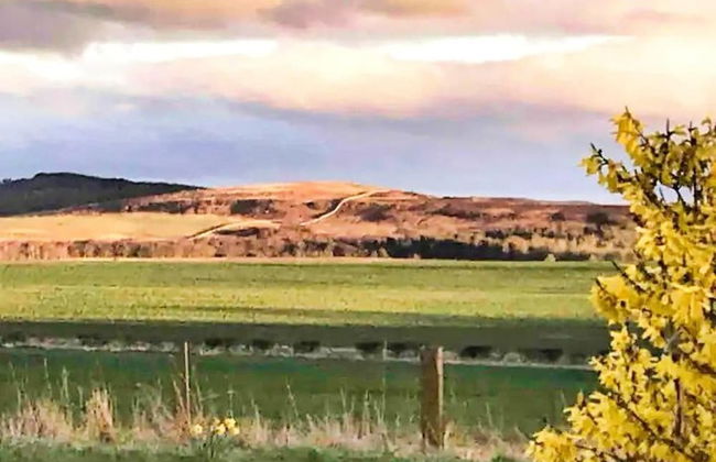 Accessible Bungalow - 4 Beds 2 Baths -dog Friendly - Foto 21