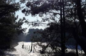 Ferienhaus am Birkenwaeldchen - Motzener See 150m - Foto 54