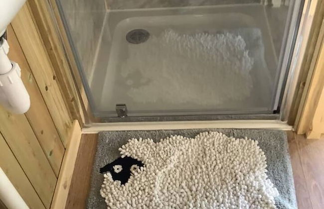 The Shepherds Hut at Hafoty Boeth - Foto 16