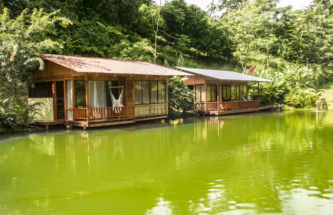 Cabañas del Lago - Foto 5