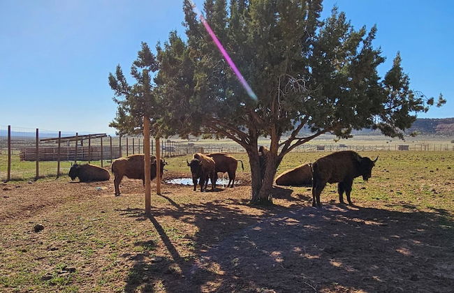 Grandpa's Cabin - Photo 16
