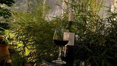 Altstadt-Chalet @Conny's - Foto 5