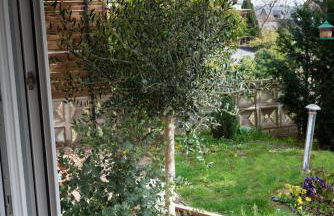 FeWo Oasis - Foto 17