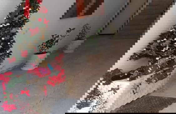 Caminho D'areia 202 - Foto 12