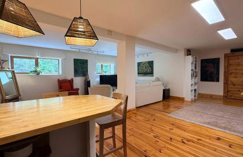 Espacioso e independiente apartamento - Foto 15