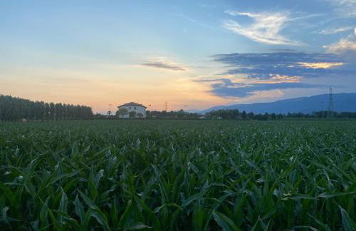 Residence Nonna Giuseppina - Foto 69