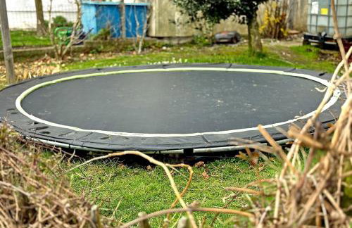 Obst- Und Ferienhof Marschall - Foto 4