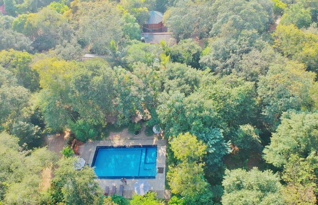 Woodland Sanctuary - Photo 14