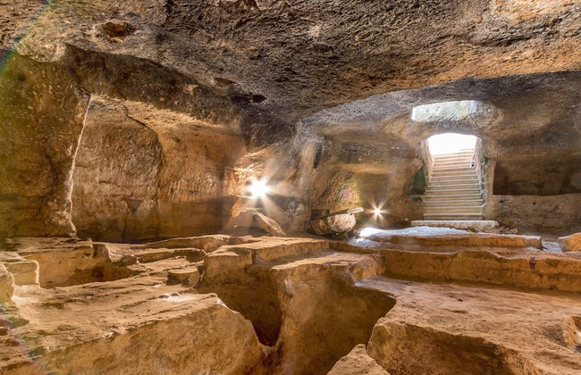 Tenuta Terenzano - Photo 11