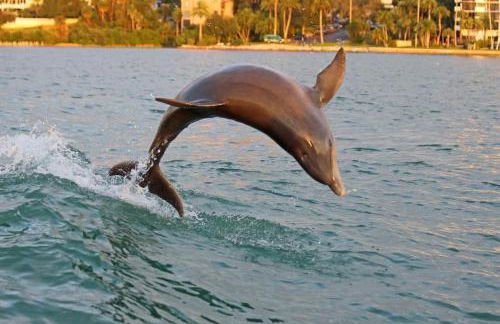 Waterfront -3BR - 2Kings -Pool Balcony - Beach - Foto 11