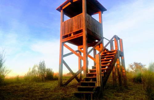 Casa Zé Actor - Foto 27