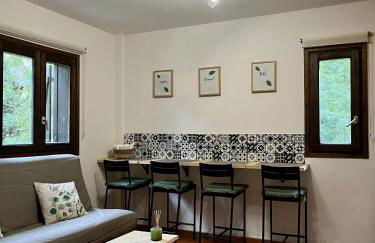 Estudio Las Perseidas - Vall de Boí - Foto 14