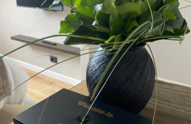 Vittorio 73 Luxury Apartment - Foto 33