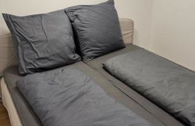 Ferienwohnung Monteurunterkunft auf historischem Vierkanthof ruhig, modern & funktional A - Foto 1