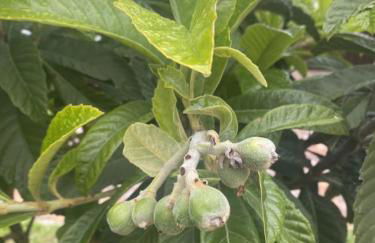 Casa di Ercolino - Foto 65