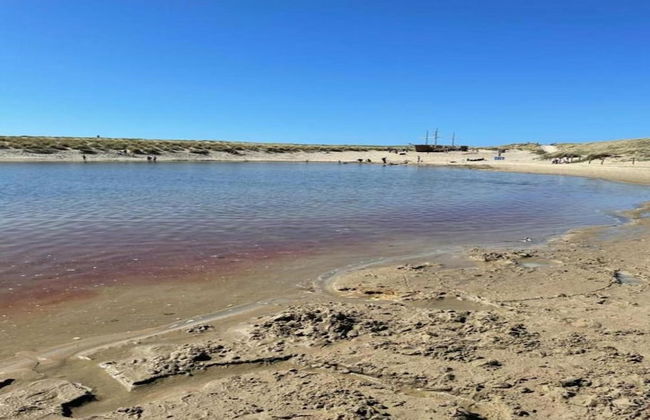 Elite Holiday Home in North Holland near Forest - Foto 27