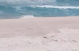 Casa privativa c/5 suites, piscina e churrasqueira - Foto 15