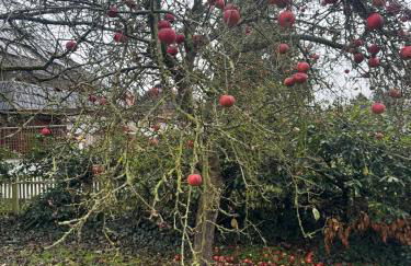 Urlaub am Fluss im historischen Altenburschla - Foto 16