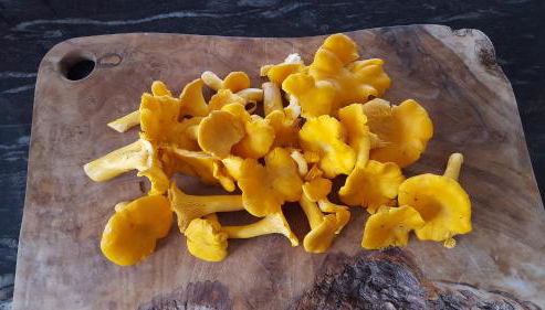 Wester Blackpark Farm - Foto 3