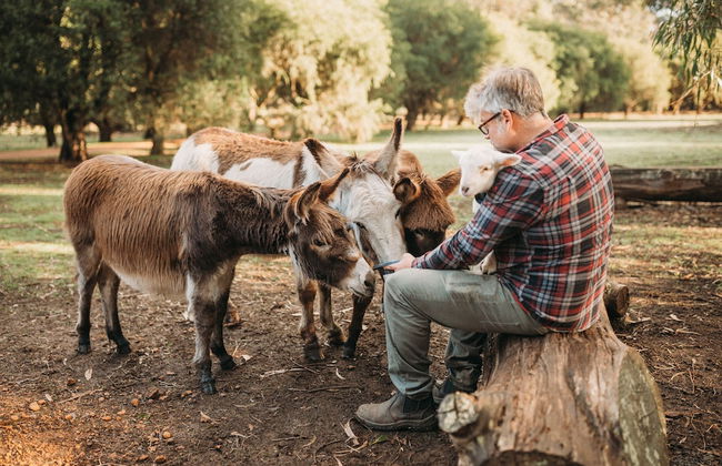 Margaret River Holiday Cottages - Photo 65