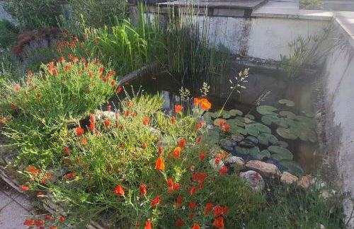 Courtyard cosy cottage - Foto 9