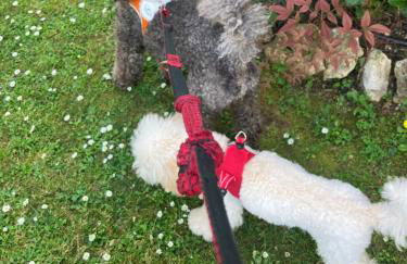 Casale el galet - Foto 61