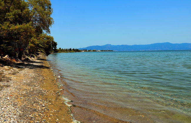 Ekatis Seacoast Nest - Foto 9